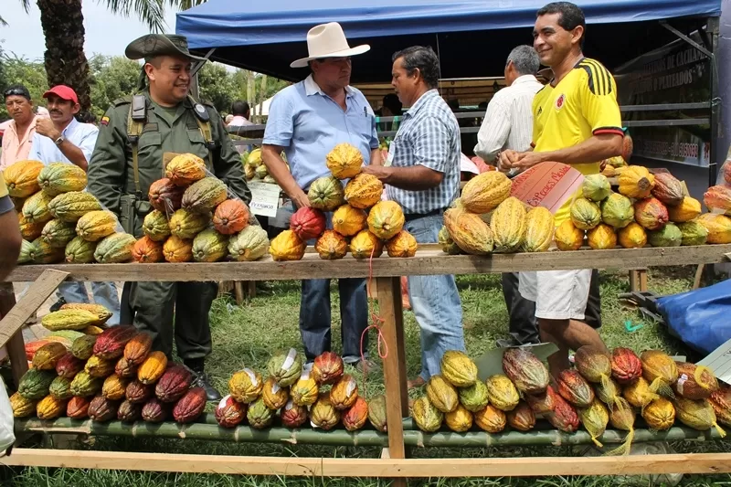 En la celebración del día del campesino en Arauquita se premiaron a los mejores productores de cacao, producto que es considerado como uno de mayor calidad del mundo.