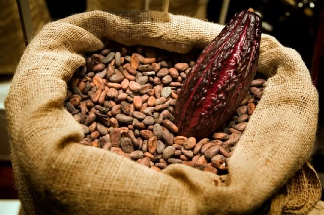 II Foro Regional Cacaotero, de la Orinoquía Colombiana “Hacia una Cacao cultura competitiva y sustentable para Consolidar la Paz”