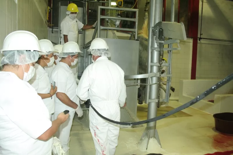 Cuarenta operarios tendra la planta de sacrificio que fue reabierta en Yopal, Casanare.