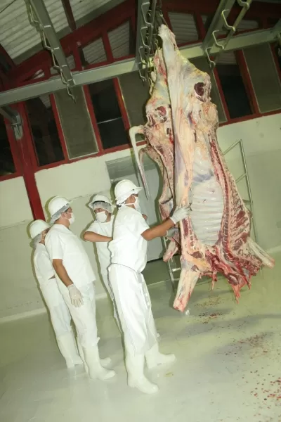 Invima levanto la sanción que habia impuesto a la planta de sacrificio animal de Yopal.