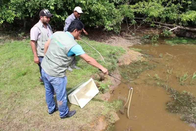 Liberado por Corporinoquia en San Luis de Palenque, Casanare