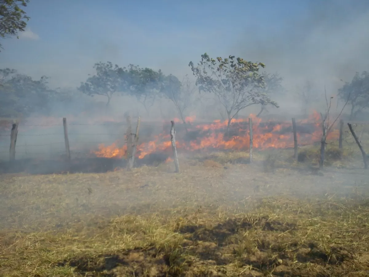 Durante el años 2014 se han quemado más de 800 hectáreas producto de 140 incendios forestales en Yopal, las autoridades de la localidad piden a la ciudadanía que se concienticen en cuidar el medio ambiente y provoquen estas conflagraciones.