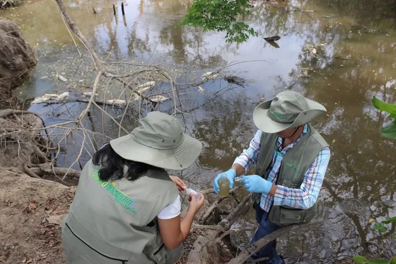La comunidad de la vereda La Coralia, del municipio de Maní, Departamento de Casanare, denunció la extraña muerte de centenares de peces en caño Palo Blanco.