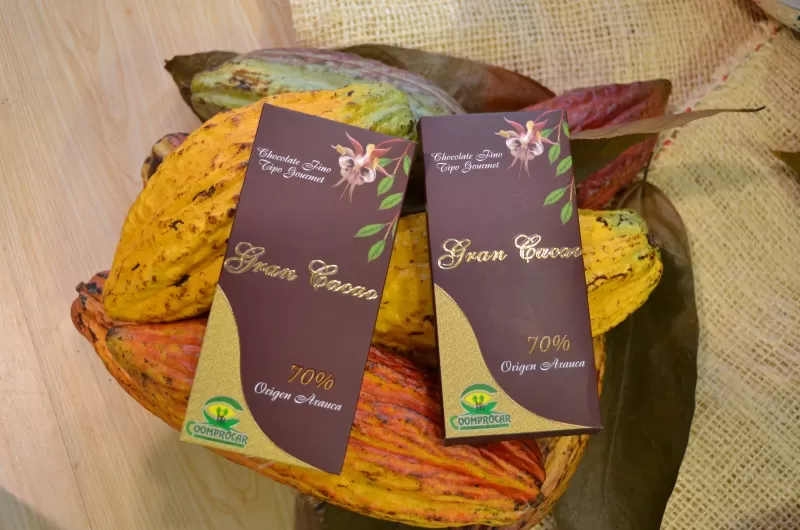 El proyecto de la chocolatina tipo gourmet, el gran Cacao,  beneficia 186 familias campesinas productoras de cacao y más de 600 productores en el departamento de Arauca.