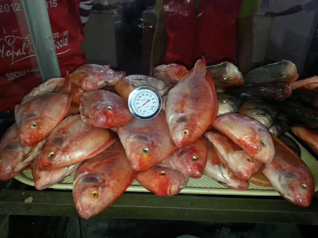 Cincuenta kilos de pescado incautaron las autoridades en Yopal, Casanare por no respetar la cadena de frío para este tipo de alimentos.