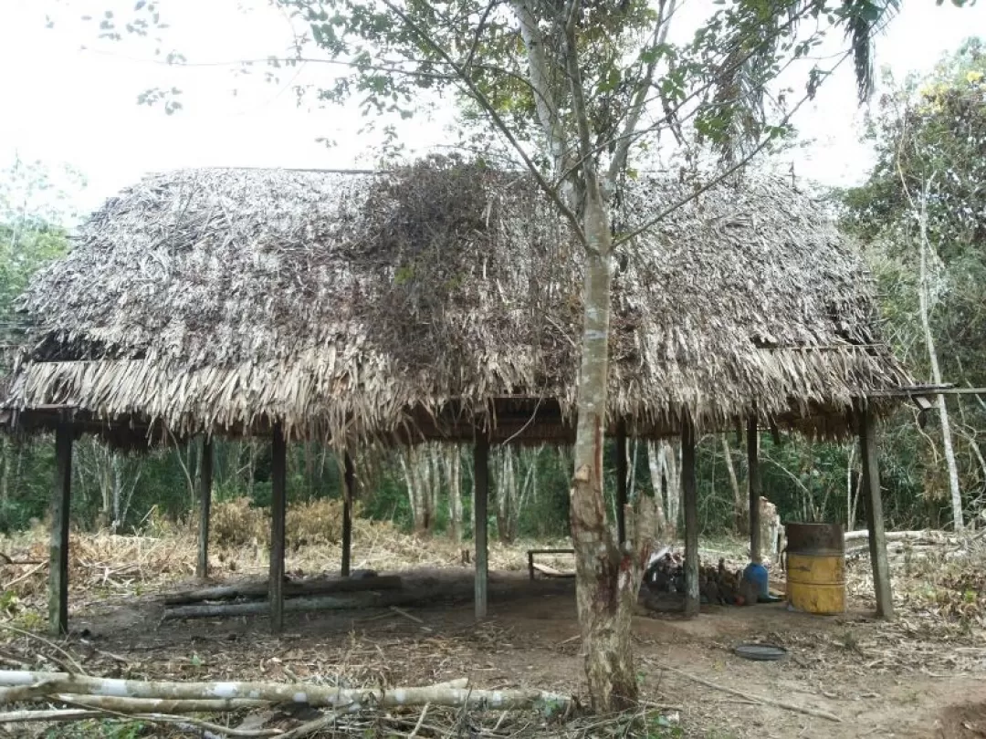 Los explosivos pertenecerían a las Farc.