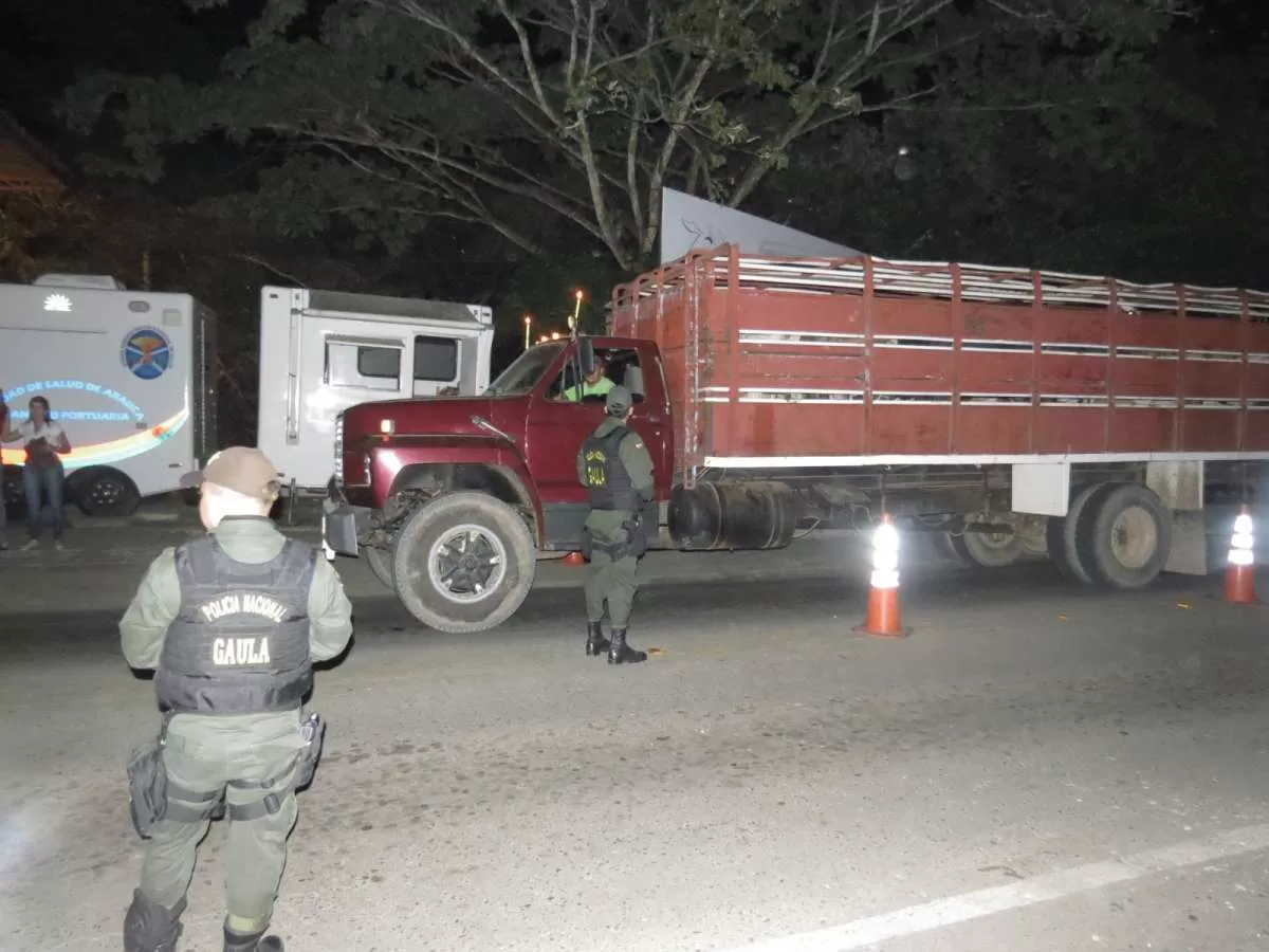 547 reses que habían sido hurtadas en Arauca fueron encontradas en Apure, Venezuela.