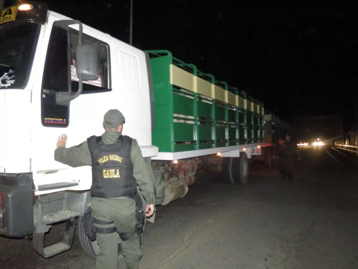 El ganado recuperado está avaluado en la suma de 455 millones de pesos y
