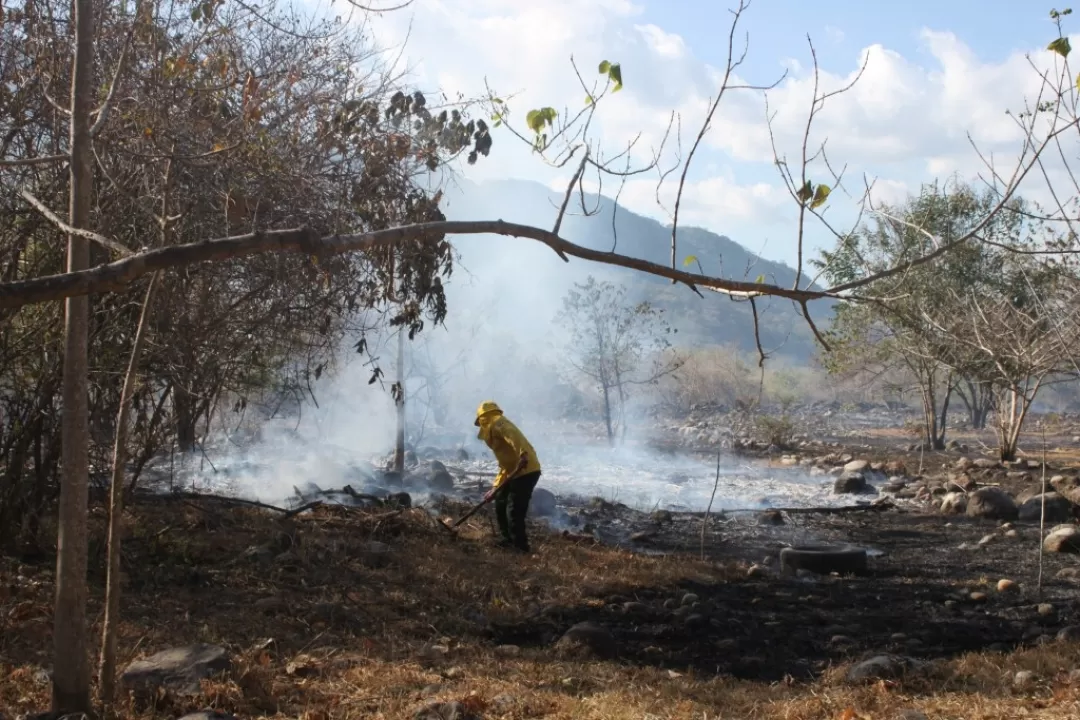 Incendio consume parque la Iguana de Yopal, Casanare.