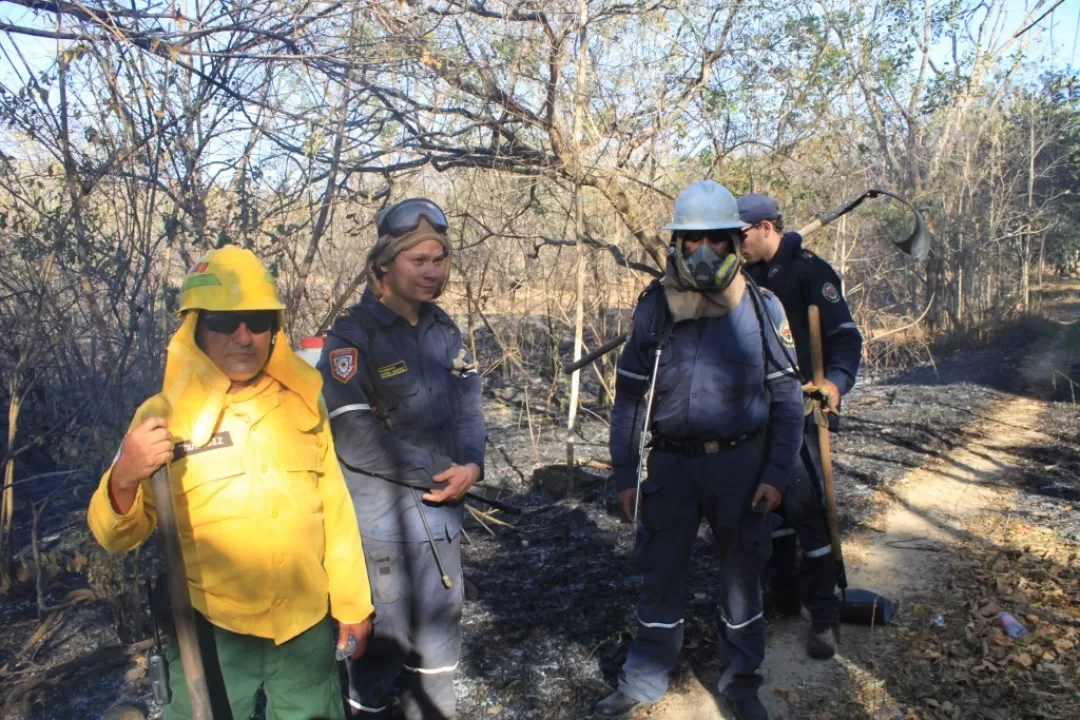 Bomberos combaten incendio en el parque la Iguana de Yopal.