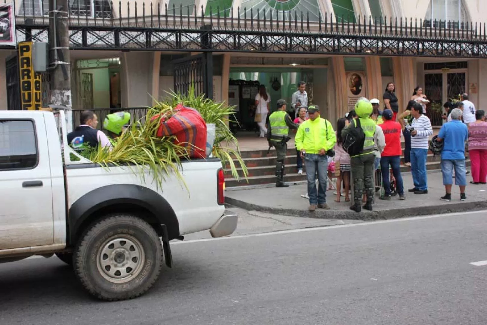 Autoridades incautaron en Villavicencio 3.500 hojas de palma durante las actividades de prevención y control al tráfico ilegal especies silvestres realizadas durante Semana Santa.