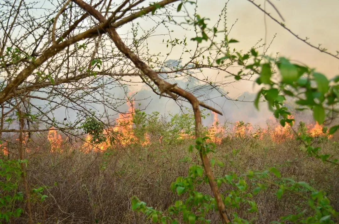 Las altas temperaturas que durante los últimos días se han presentado en Villavicencio, han hecho que se declare nuevamente la Alerta Naranja.