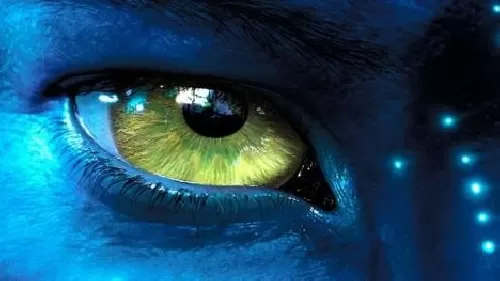 <p>Avatar</p>