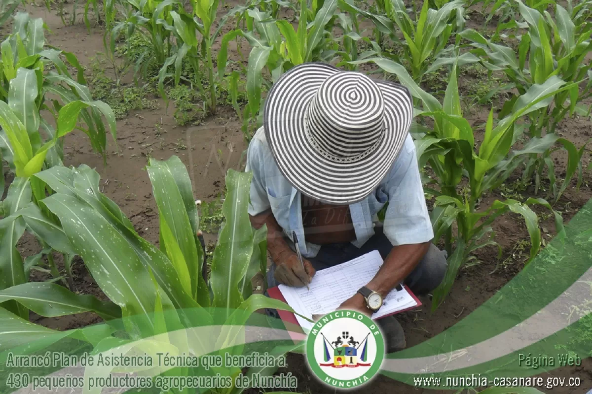 430 familias de pequeños productores agropecuarios del municipio de Nunchía, inició en firme la asistencia Técnica.