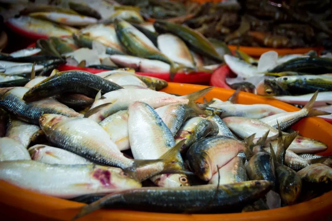 Las autoridades de salud piden  precaución al consumir pescado en la Semana Santa.