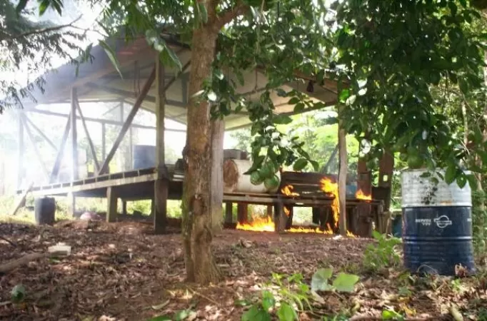 Destrucción de la cocina donde serían procesados 1400 kilos de hoja de coca picada que fue encontrada por el Ejercito en Guerima, zona rural del municipio de Cumaribo en Vichada.