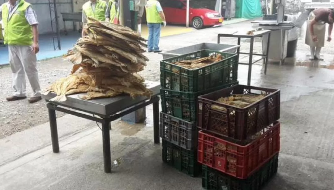 144 kilos de pescado seco decomisaron en Villavicencio en operativos de control sanitario previos a Semana Santa