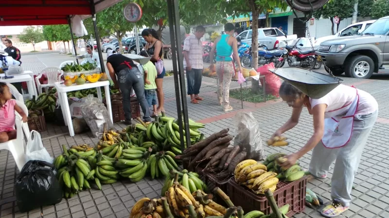 Este 14 de julio los habitantes de Yopal, Casanare, podrán obtener nuevamente alimentos frescos, de calidad y a precio justo, en el Tercer Mercado Satélite Campesino.
