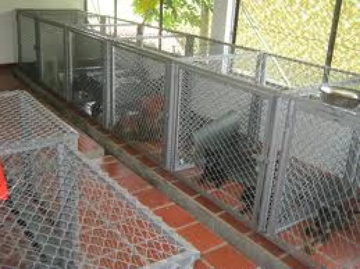Operativos de recolección de especies mayores y menores que se encuentren deambulando sin su propietario por las calles de Yopal, ha iniciado el Coso Municipal,
