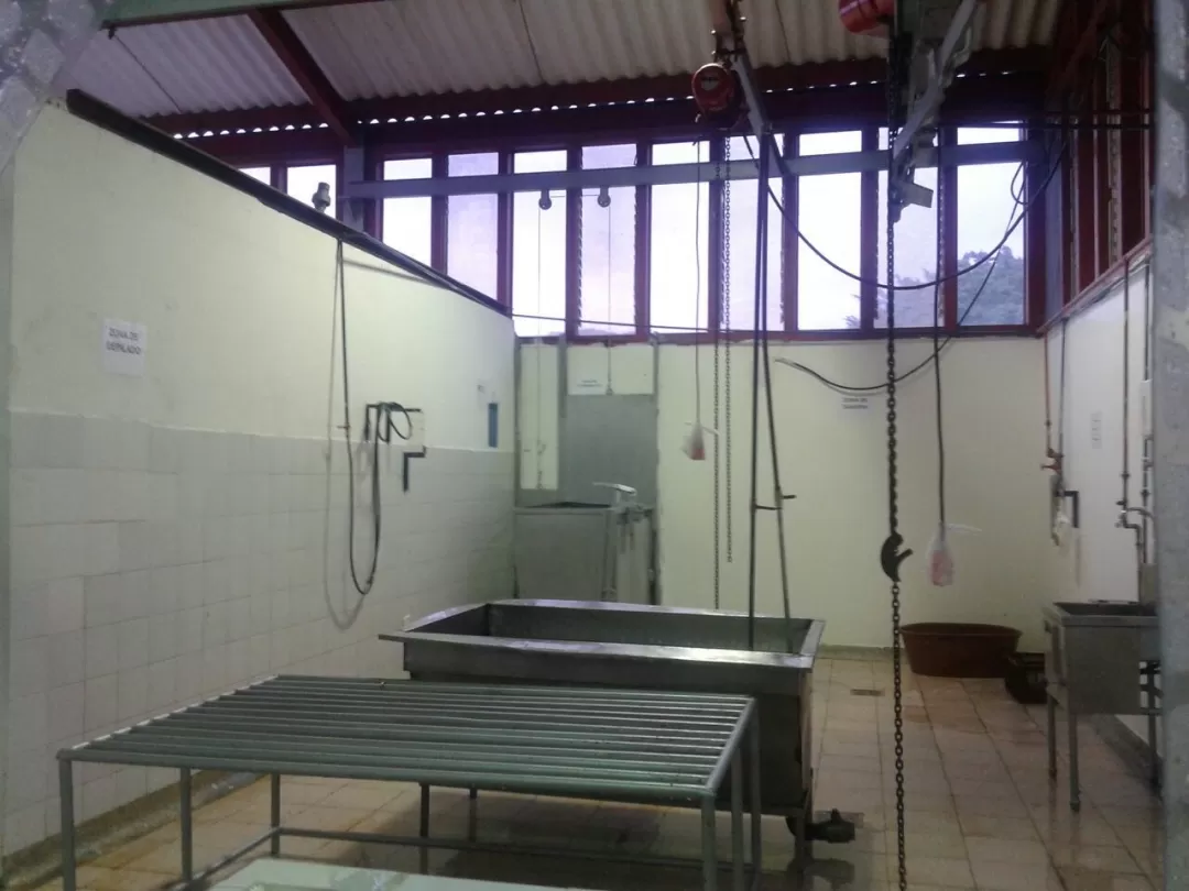 Invima levantó medida sanitaria de cierre de la Planta de Beneficio Animal para Porcinos de Yopal. Porcinocultores del departamento de Arauca también llevan sus animales a esta planta.