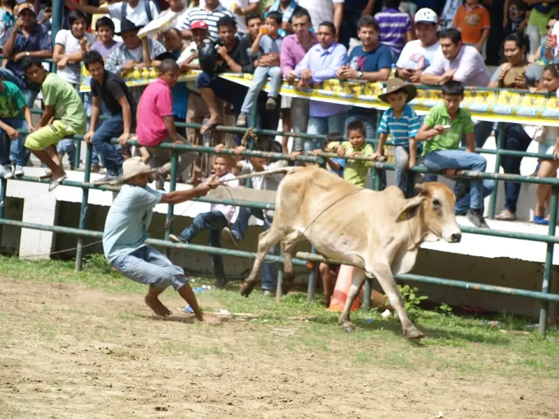 Actividades en la Plaza de ferias de Arauca