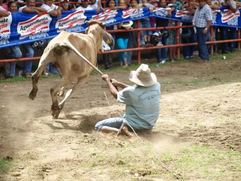 Actividades en la Plaza de ferias de Arauca