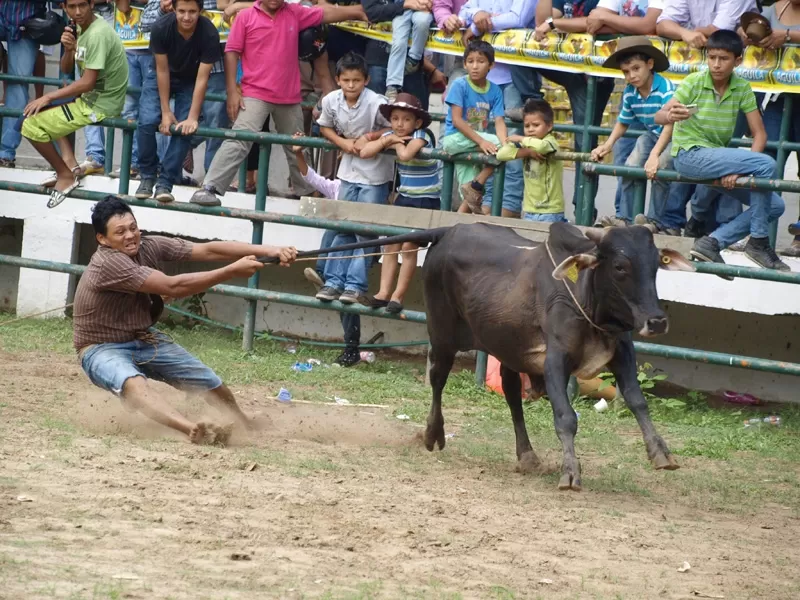 Actividades en la Plaza de ferias de Arauca