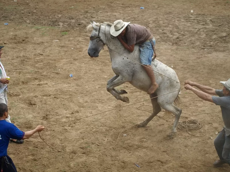 Actividades en la Plaza de ferias de Arauca