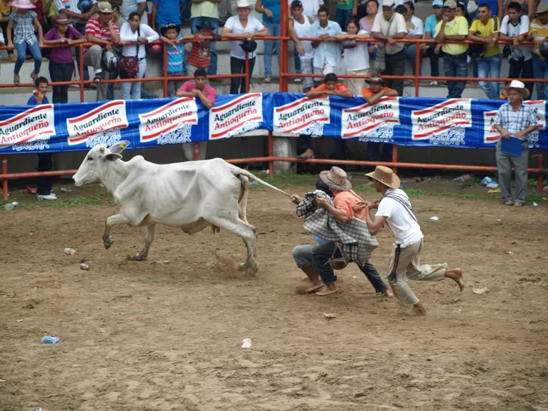 Actividades en la Plaza de ferias de Arauca
