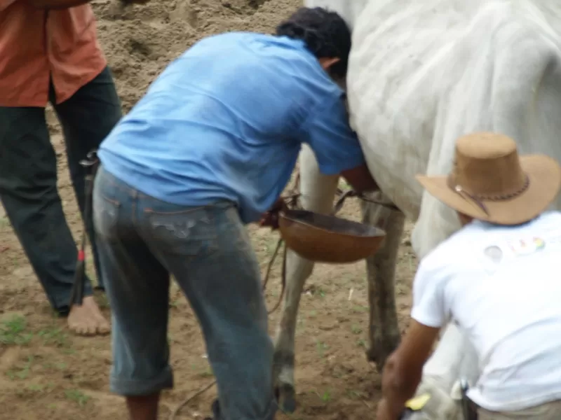 Actividades en la Plaza de ferias de Arauca