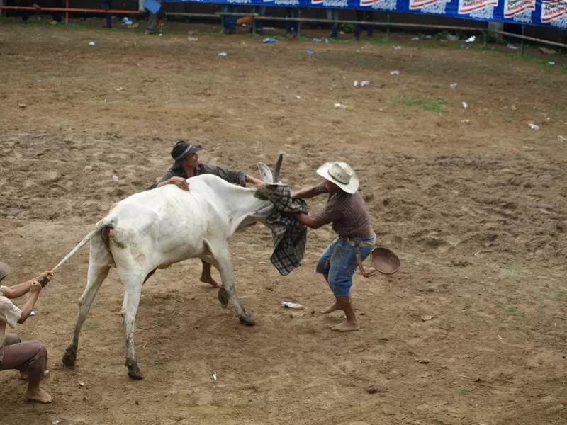 Actividades en la Plaza de ferias de Arauca