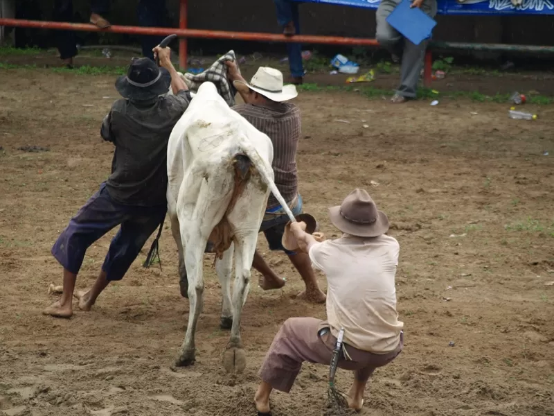 Actividades en la Plaza de ferias de Arauca