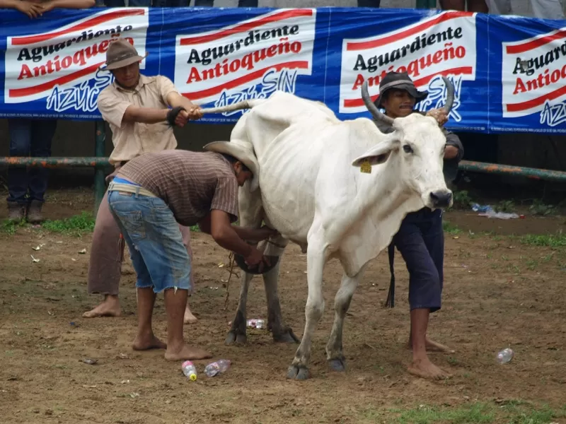 Actividades en la Plaza de ferias de Arauca