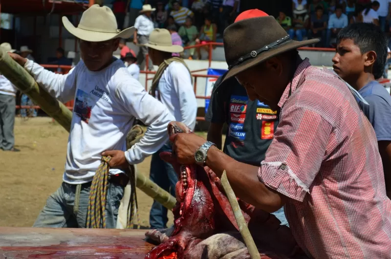 Despresar una res prueba del llanero auténtico.