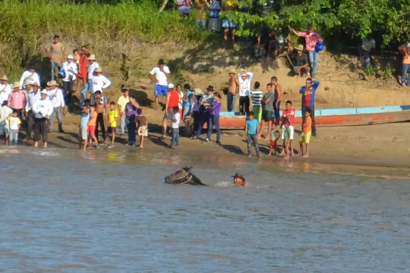 Cruzando el río Arauca
