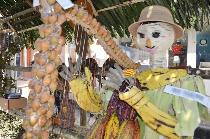 Frutos del llano...