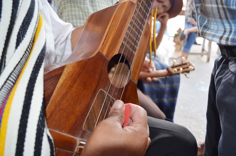 Bandola suena en el Día del llanero en Arauca.