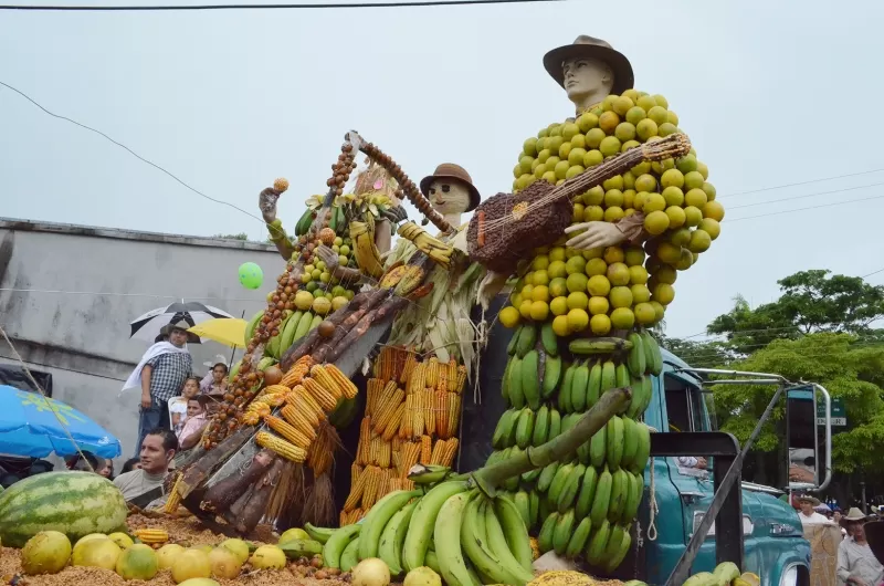Frutos llaneros