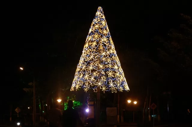 Arbolito parque Santander, cerca a la Dian. Luces de navidad en la ciudad de Arauca.