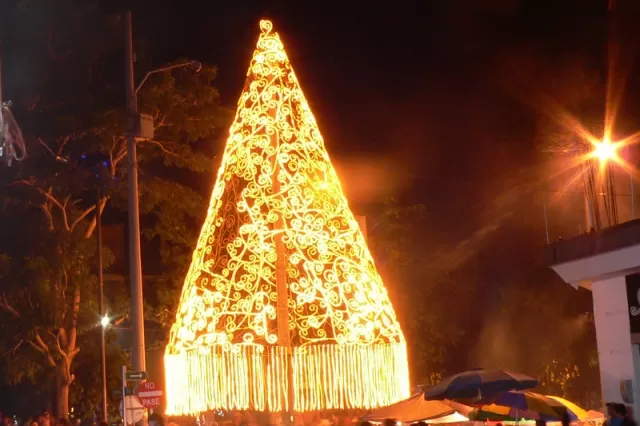 Luces de navidad en la ciudad de Arauca. Arbolito Parque Caldas.