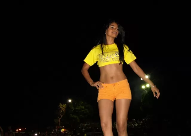 Festival Binacional de Verano 2008.