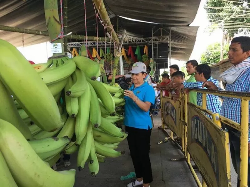 La Gobernación de Arauca apoyó la realización del evento que resalta uno de los productos característicos de Arauca: el plátano.