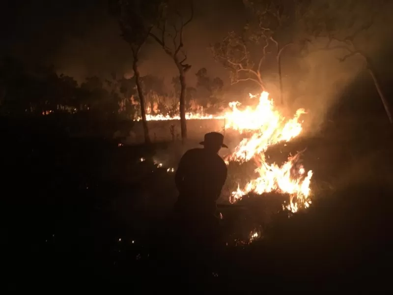 Apagaron incendio que consumió 16.000 hectáreas de ecosistemas de sabana en tierra firme en el parque El Tuparro en Vichada.