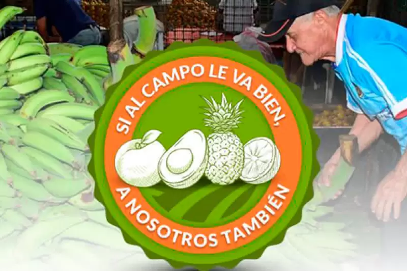 Estrategia que impulsará a 50 productores de yuca, plátano y guayaba, de la región del Ariari,
