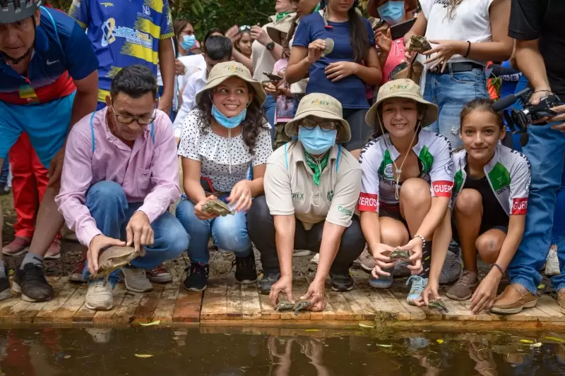 Seiscientas tortugas Galápago fueron trasladadas desde Paz de Ariporo, Casanare a Tame, Arauca.