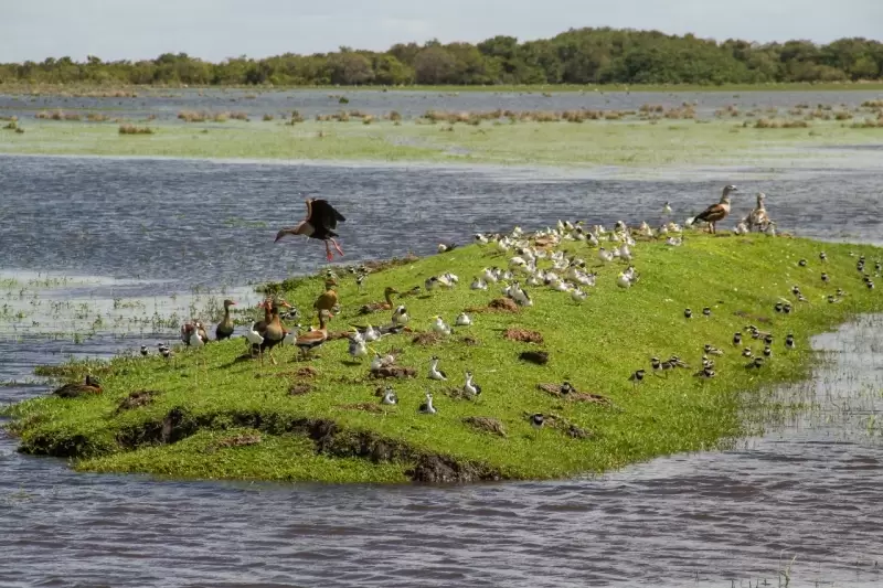 Entre los municipios de Arauca y Cravo Norte en el departamento de Arauca, fue declarado el Distrito Nacional de Manejo Integrado Cinaruco, un área natural que alberga gran biodiversidad de las sabanas inundables de la Orinoquia, contando con más de 68 especies de mamíferos, 178 aves, 176 peces, 670 plantas y 74 de reptiles.