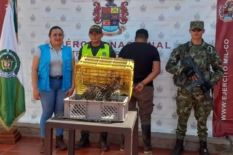 La Policía y el Ejército participaron en la recuperación del felino que estaba domesticado.