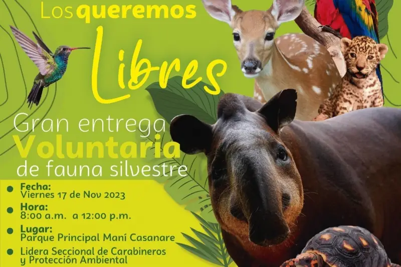 Corporinoquia Encabeza Jornada de Entrega Voluntaria de Fauna Silvestre en Casanare