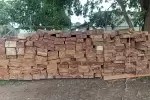 263 piezas de madera fueron incautadas en Vichada