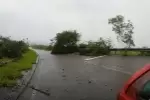 Un vendaval con intenso vientos derribo centenares de arboles en la vía Tame - La Cabuya.